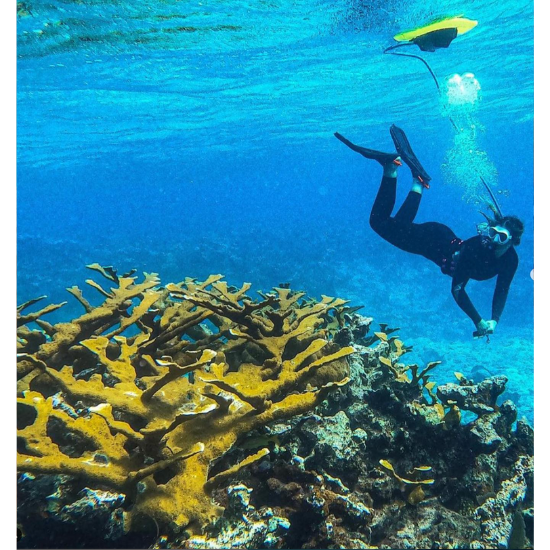 Exploring the Future of Diving: Why Tankless Scuba Equipment is the Next Big Thing